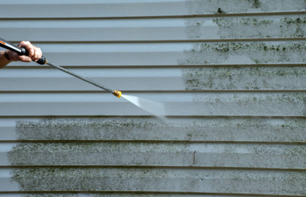 Best Post-Flood Mold Remediation in Marmet, WV