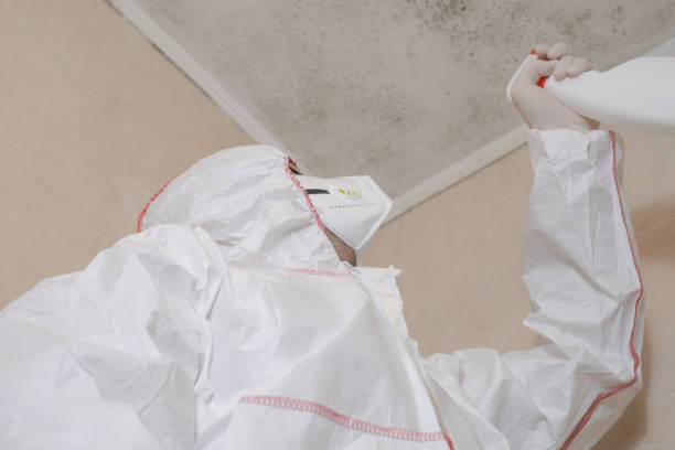 Best Mold Testing and Inspection Services in Marmet, WV